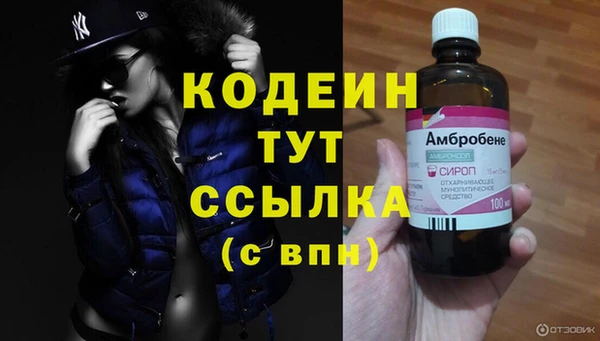 стаф Покачи