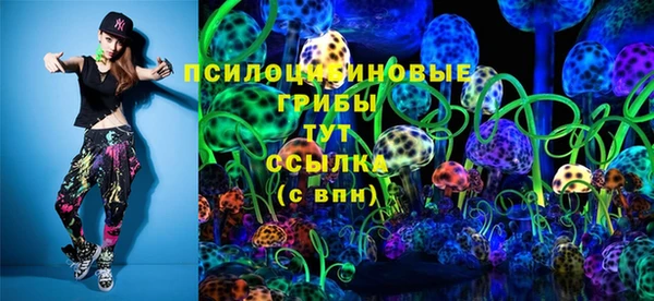 бошки Армянск
