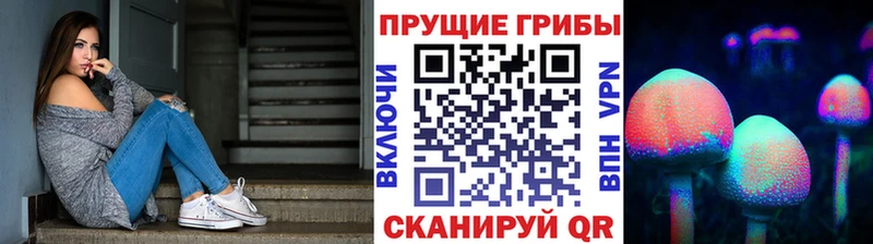 mega ТОР  даркнет сайт  Куса  Галлюциногенные грибы GOLDEN TEACHER 